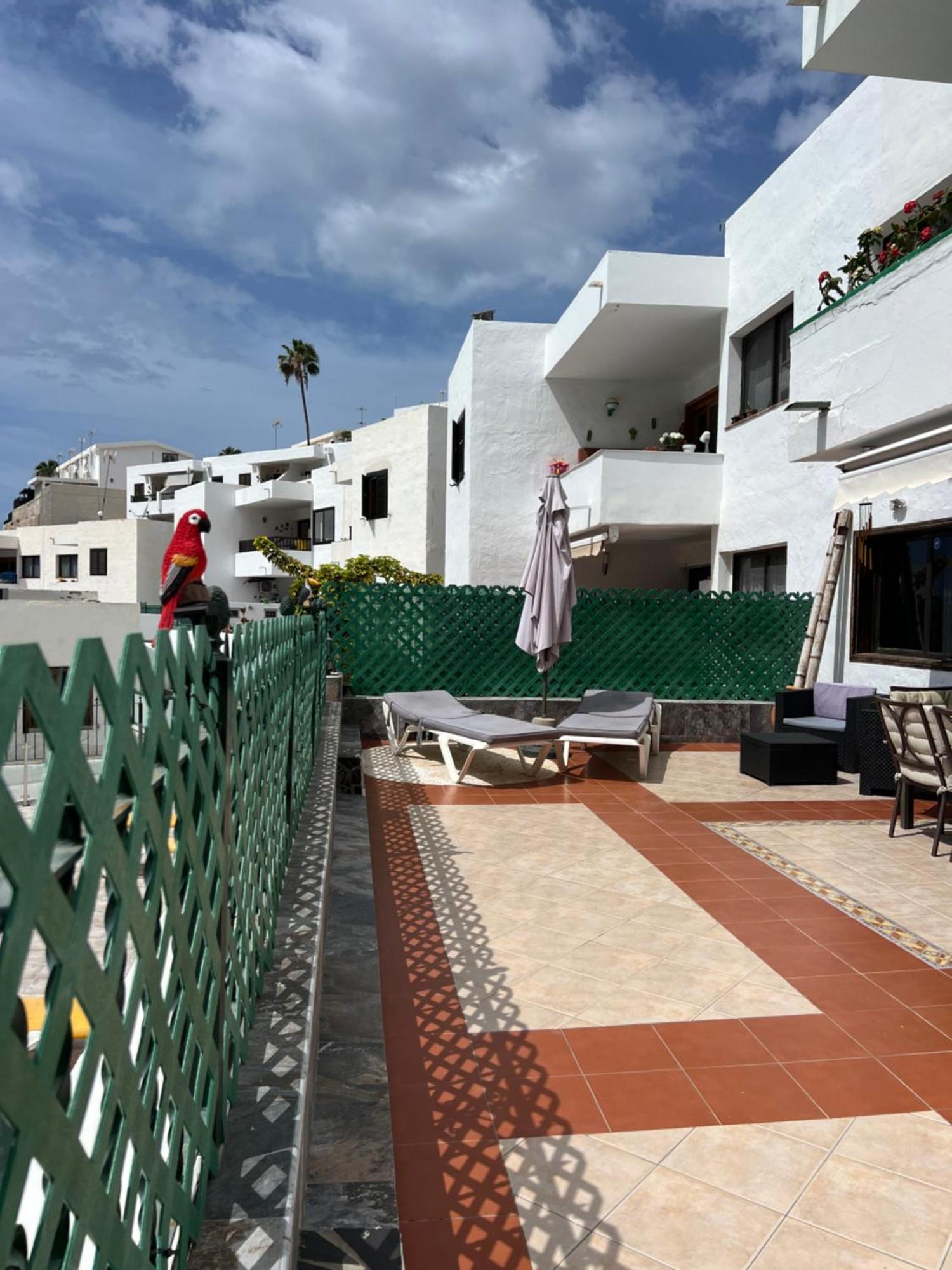 Lovely Apartment 2 Rooms With Big Terrace In Puerto Rico 푸에르토리코 외부 사진